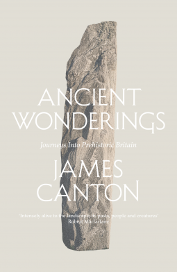 book cover for Ancient Wonderings