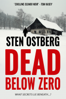 book cover for Dead Below Zero