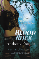 book cover for Blood Rock