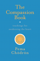 book cover for The Compassion Book