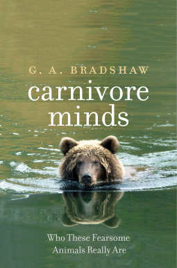 book cover for Carnivore Minds
