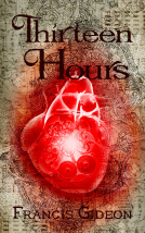 book cover for Thirteen Hours
