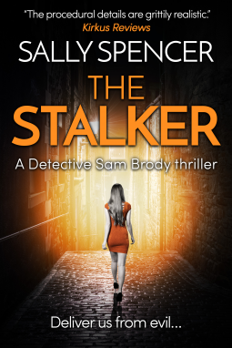 book cover for The Stalker