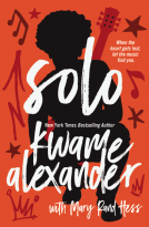 book cover for Solo