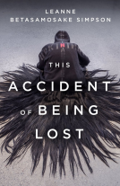 book cover for This Accident of Being Lost