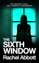book cover for The Sixth Window