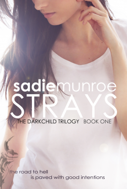 book cover for Strays