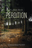 book cover for Perdition