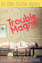 book cover for Trouble Magnet