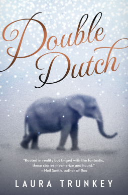 book cover for Double Dutch