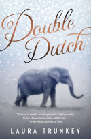 book cover for Double Dutch