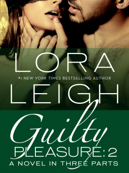 book cover for Guilty Pleasure: Part 2