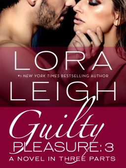 book cover for Guilty Pleasure: Part 3