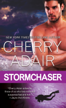 book cover for Stormchaser