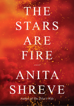 book cover for The Stars Are Fire