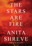 book cover for The Stars Are Fire