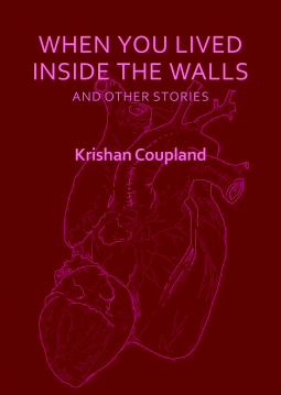 book cover for When You Lived Inside The Walls