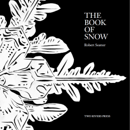 book cover for The Book of Snow