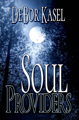 book cover for Soul Providers