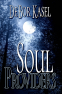 Cover Image: Soul Providers