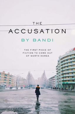 book cover for The Accusation