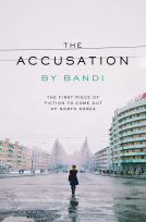 book cover for The Accusation