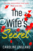 book cover for The Wife’s Secret