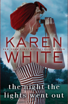 book cover for The Night the Lights Went Out