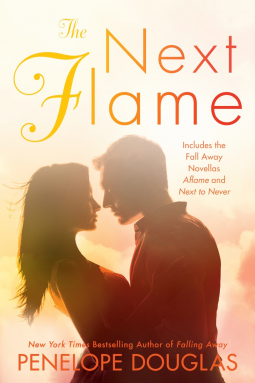 book cover for The Next Flame