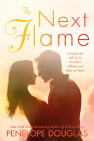 book cover for The Next Flame