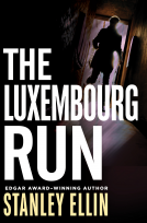book cover for The Luxembourg Run