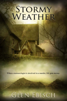 book cover for Stormy Weather