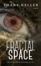 book cover for Fractal Space