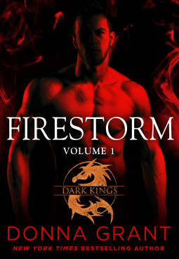 book cover for Firestorm: Volume 1