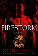 book cover for Firestorm: Volume 1