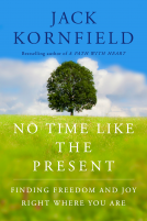 book cover for No Time Like the Present