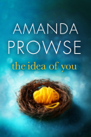 book cover for The Idea of You