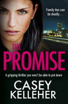 book cover for The Promise