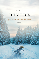 book cover for The Divide