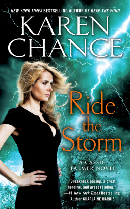 book cover for Ride the Storm