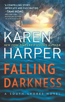 book cover for Falling Darkness