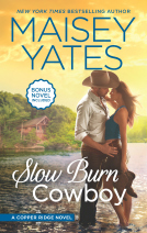 book cover for Slow Burn Cowboy