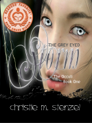 book cover for The Grey Eyed Storm