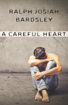 book cover for A Careful Heart