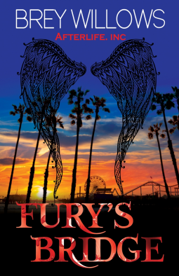 book cover for Fury's Bridge