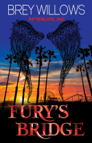 book cover for Fury's Bridge