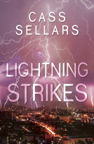 book cover for Lightning Strikes