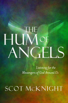 book cover for The Hum of Angels