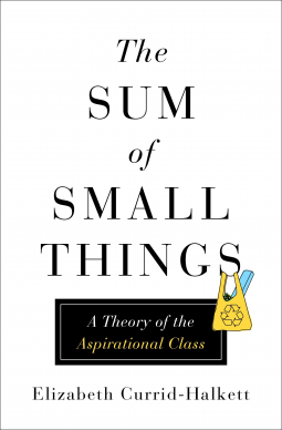 book cover for The Sum of Small Things