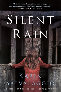 book cover for Silent Rain